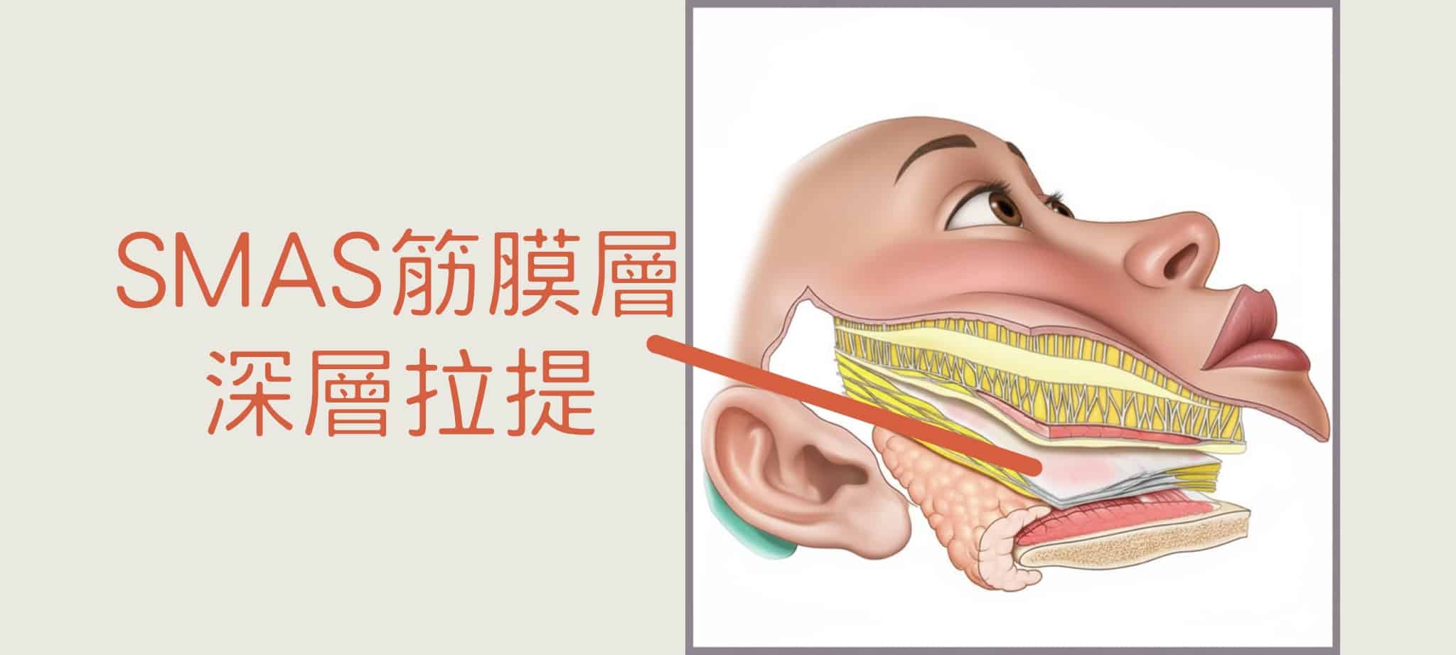 整形外科葉亘耕醫師SMAS筋膜層深層拉提 效果持久