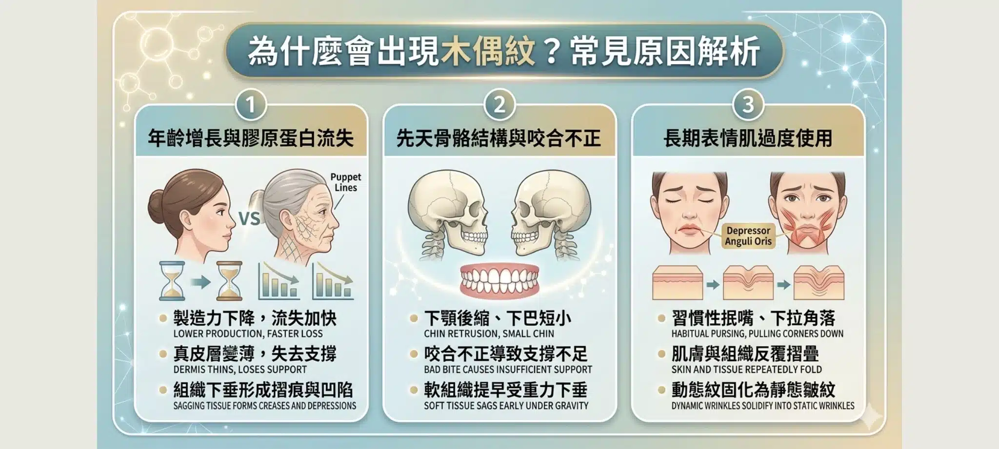 木偶紋是什麼?如何消除?整形外科醫師揭開木偶紋與嘴邊肉的下垂真相 1 木偶紋常見成因